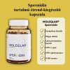 Spermidin kapszula, 60 db, MoleQlar