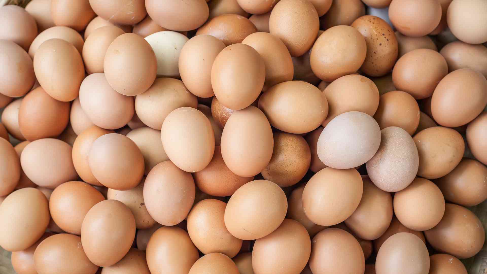 A tojás a Q10-forrás természetes forrása
