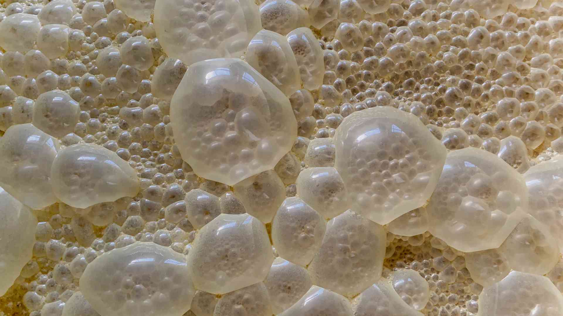 Fermentációs eredetű glükózamin