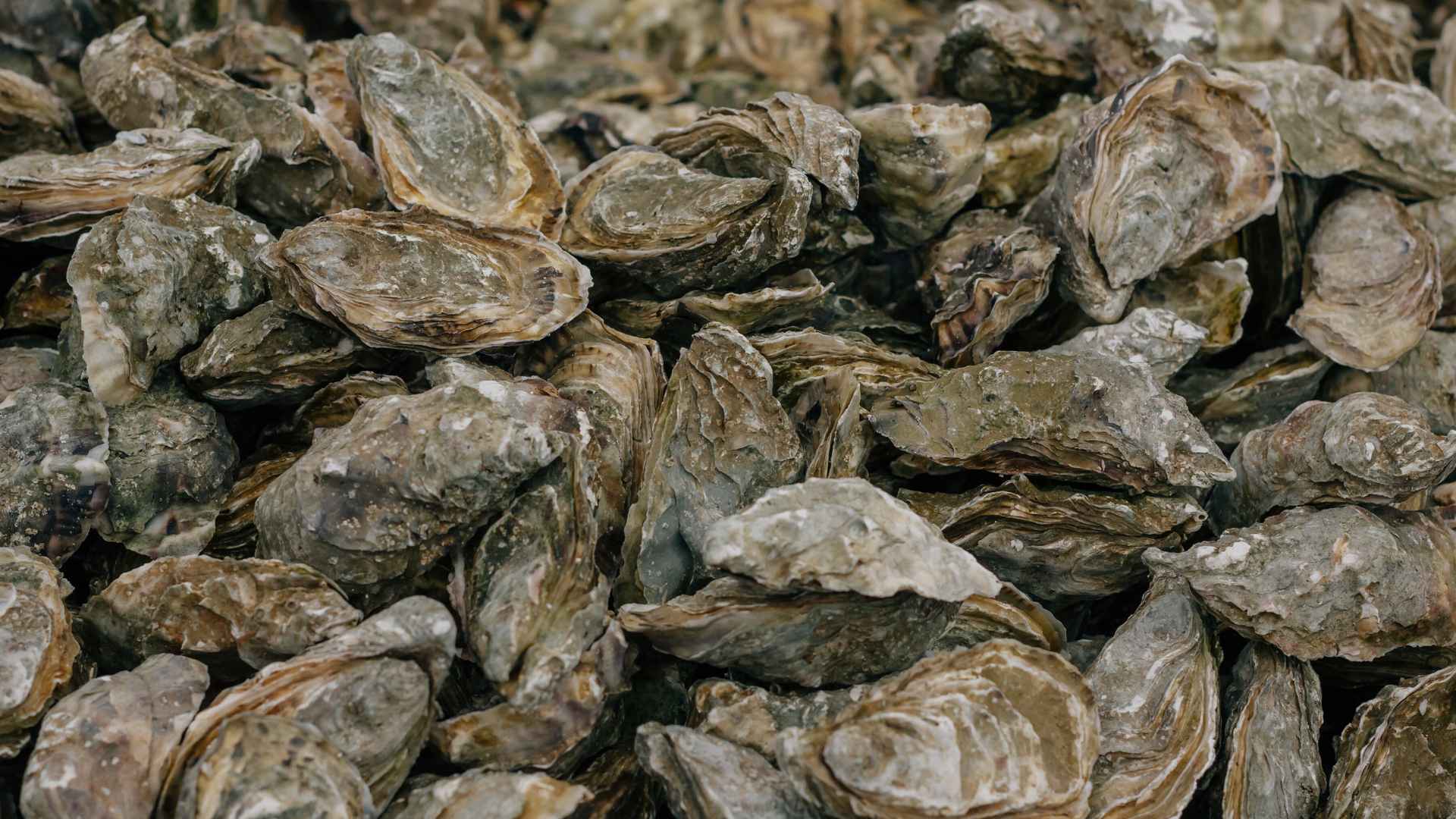 Glicin természetes forrás