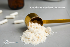 Kreatin: az agy titkos fegyvere