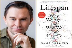 Dr. David A. Sinclair: a három legfőbb hosszú életet biztosító folyamat.